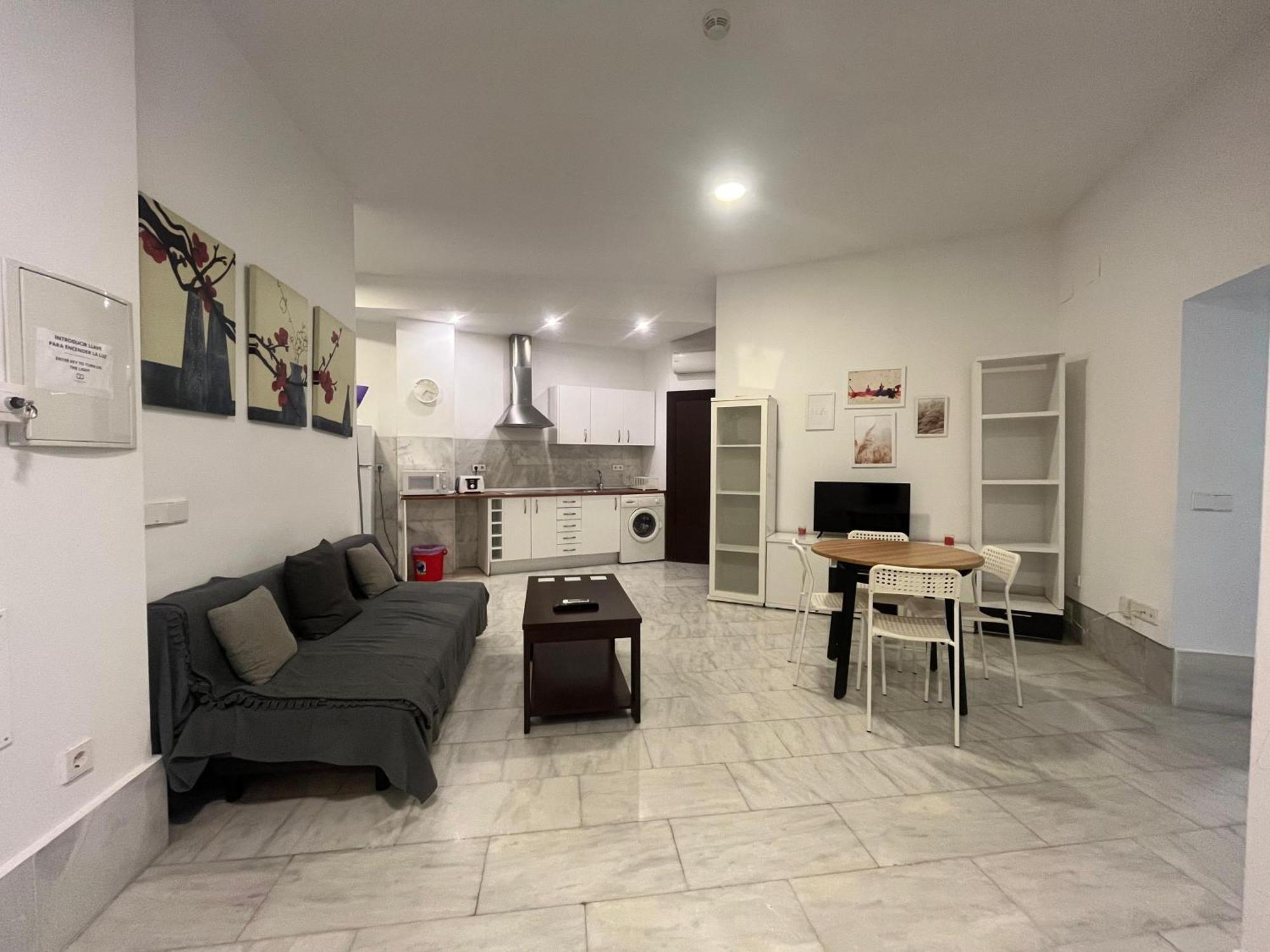 Appartement Center Confort 1